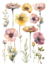 Motivtransfer, Bügelmotiv in A4 - Blumen Aquarell - BTR-003